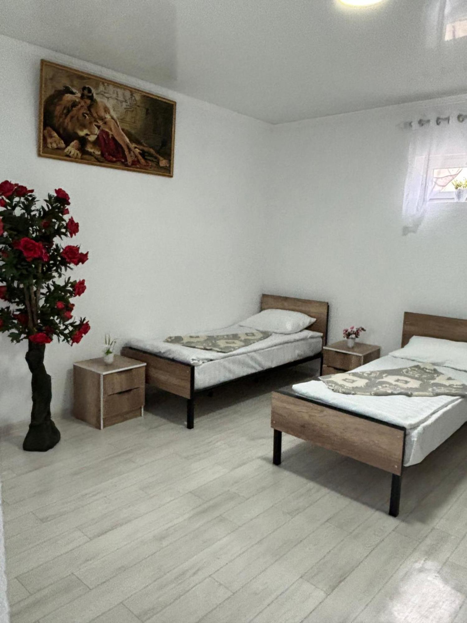 Hostel,Halal Хостел,Халал Токмак Экстерьер фото